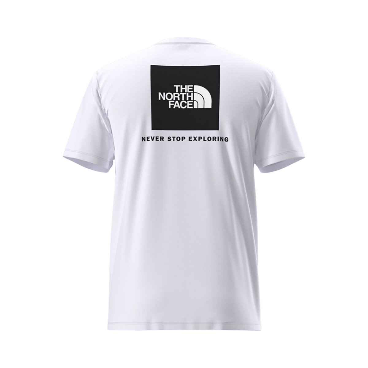 THE NORTH FACE EVOLUTION BOX NSE SHORT SLEEVE TEE 