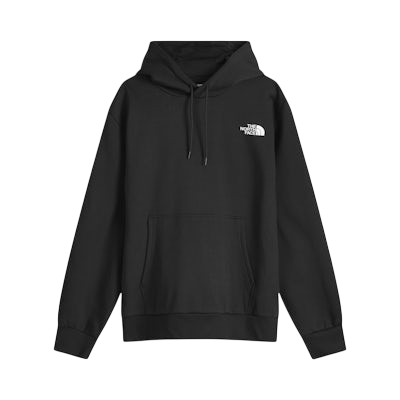 THE NORTH FACE EVOLUTION SIMPLE DOME OVERSIZED HOODIE 