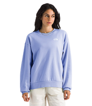 THE NORTH FACE W EVOLUTION SIMPLE DOME OVERSIZED CREW