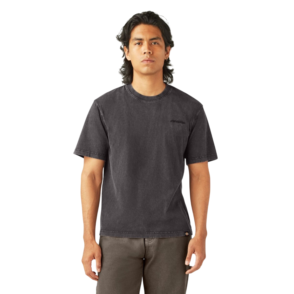 DICKIES M PLENTYWOOD S/S TEE - Boutique Homies