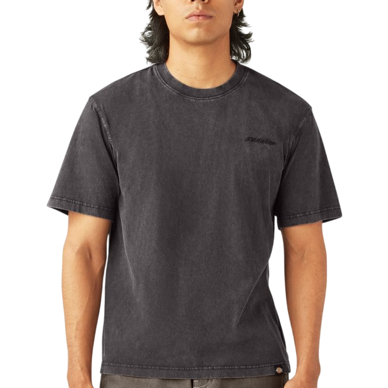 DICKIES M PLENTYWOOD S/S TEE - Boutique Homies