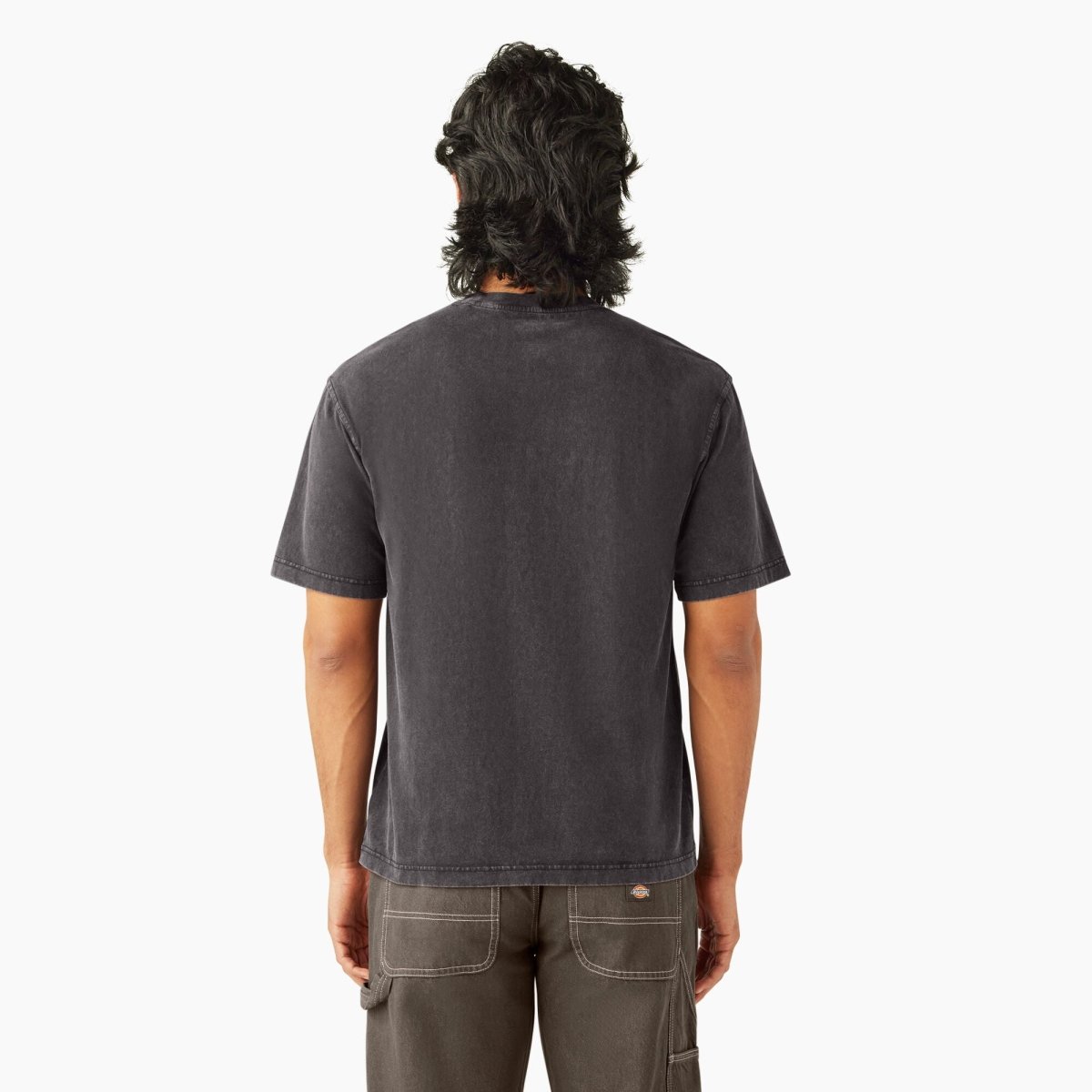DICKIES M PLENTYWOOD S/S TEE - Boutique Homies
