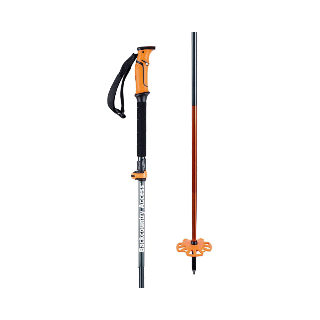 BCA Scepter 4S Pole