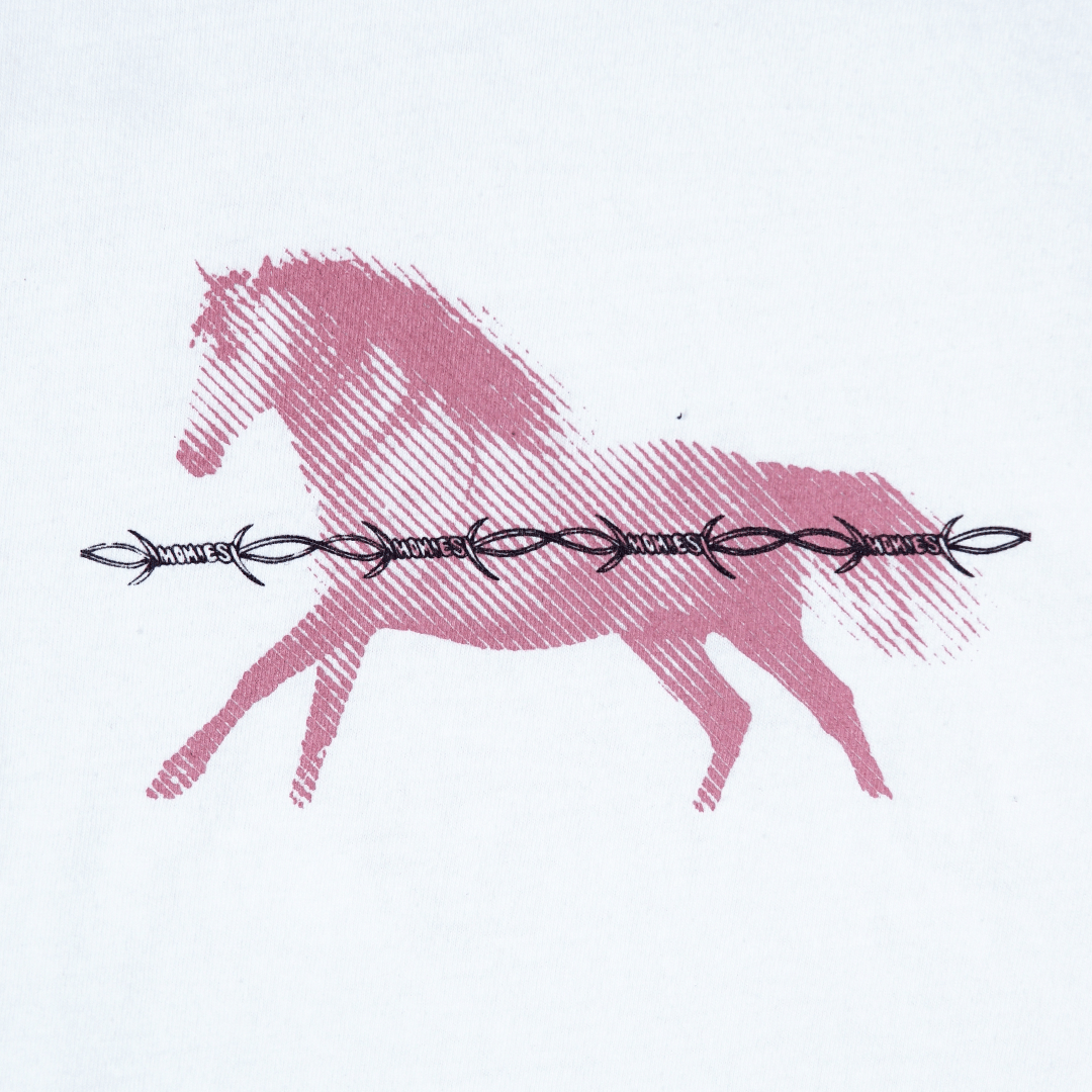 HOMIES CAROUSEL TEE - Homies Shop