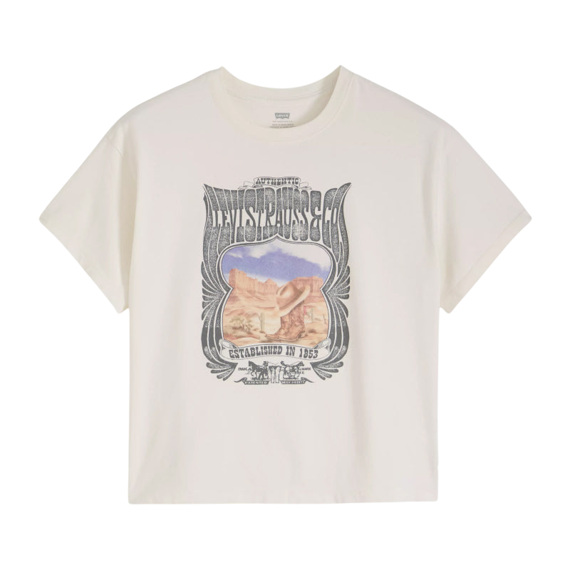 LEVI'S W GRAPHIC ANIDAY TEE