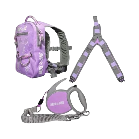 MDXONE THE ONE SNOWBOARD/SKI BACKPACK - Boutique Homies