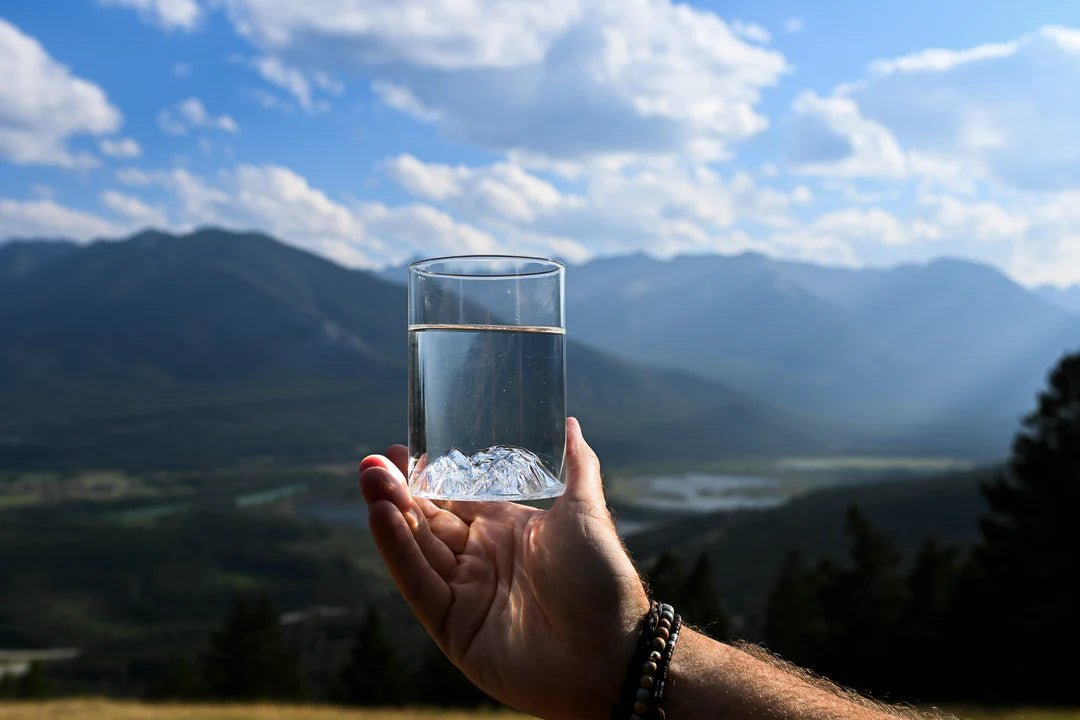 MTNPK LAKE LOUISE PINT GLASS - Boutique Homies