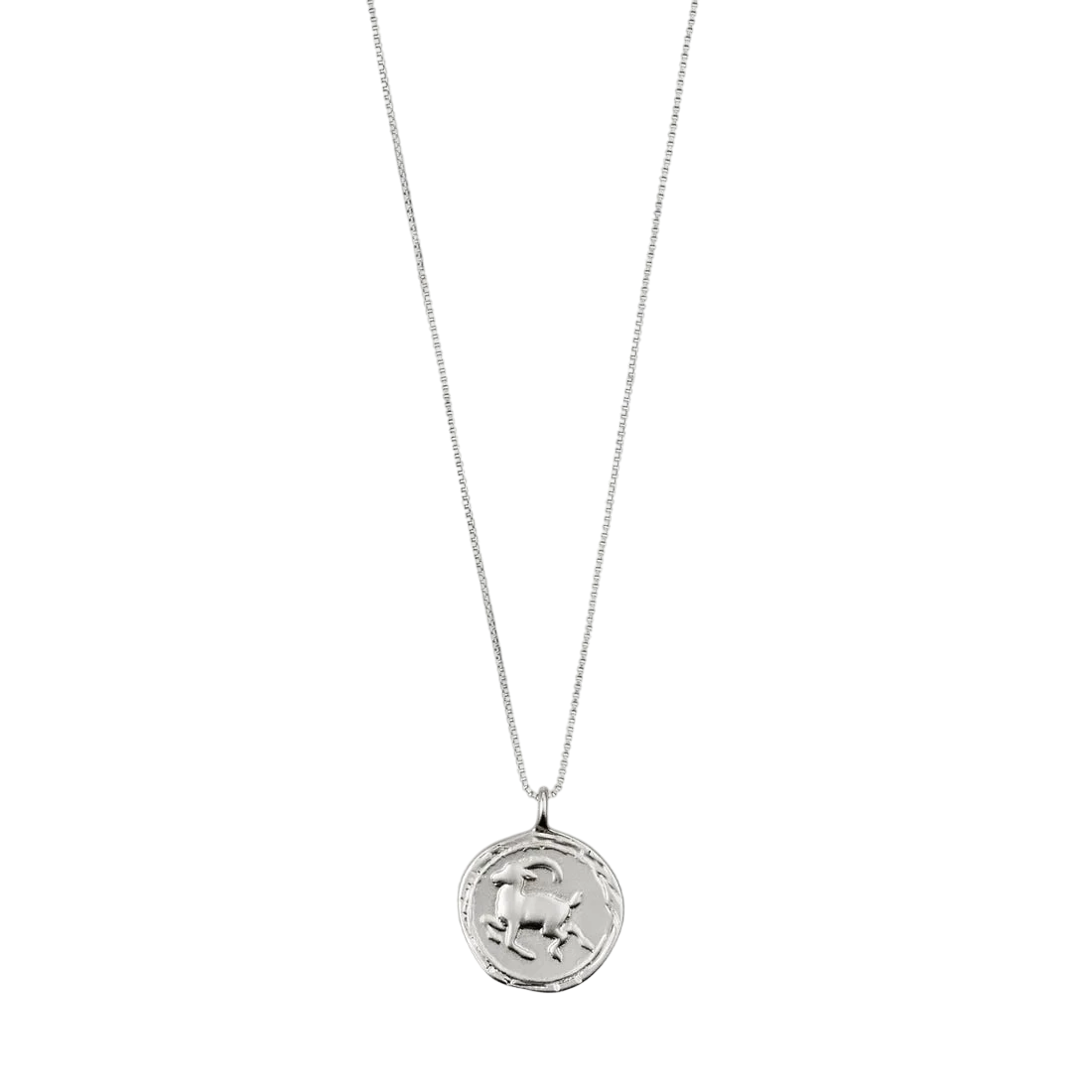 PILGRIM CAPRICORN HOROSCOPE NECKLACE - Boutique Homies