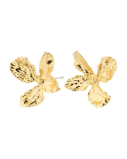 PILGRIM DREAM EARRINGS