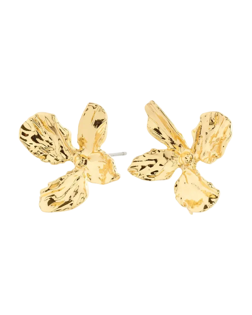 PILGRIM DREAM EARRINGS