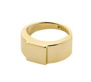 PILGRIM FRIENDS RING - Boutique Homies