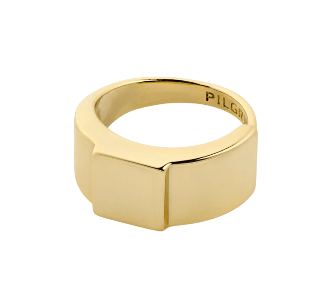 PILGRIM FRIENDS RING - Boutique Homies