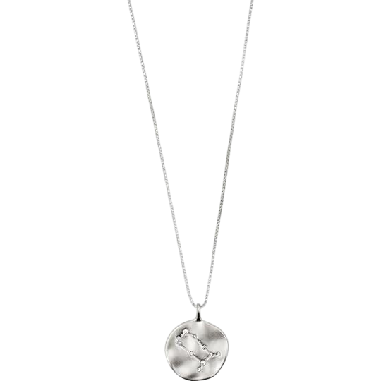 PILGRIM NECKLACE GEMINI HOROSCOPE - Boutique Homies