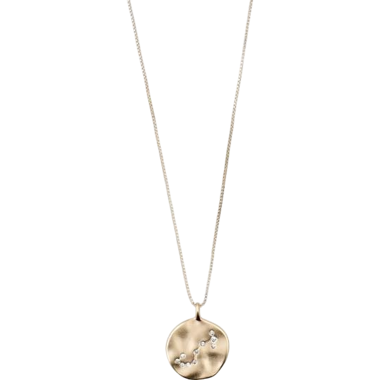 PILGRIM NECKLACE SCORPIO - Boutique Homies