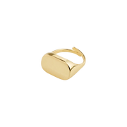 PILGRIM RING RESTORATION - Boutique Homies