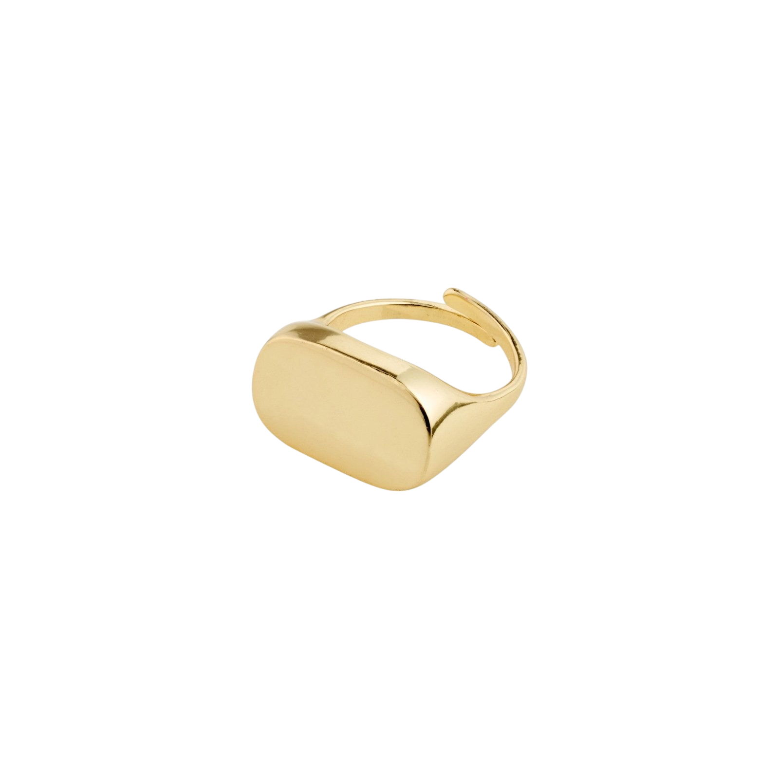 PILGRIM RING RESTORATION - Boutique Homies