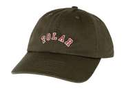 POLAR SAI CAP COLLEGE LOGO