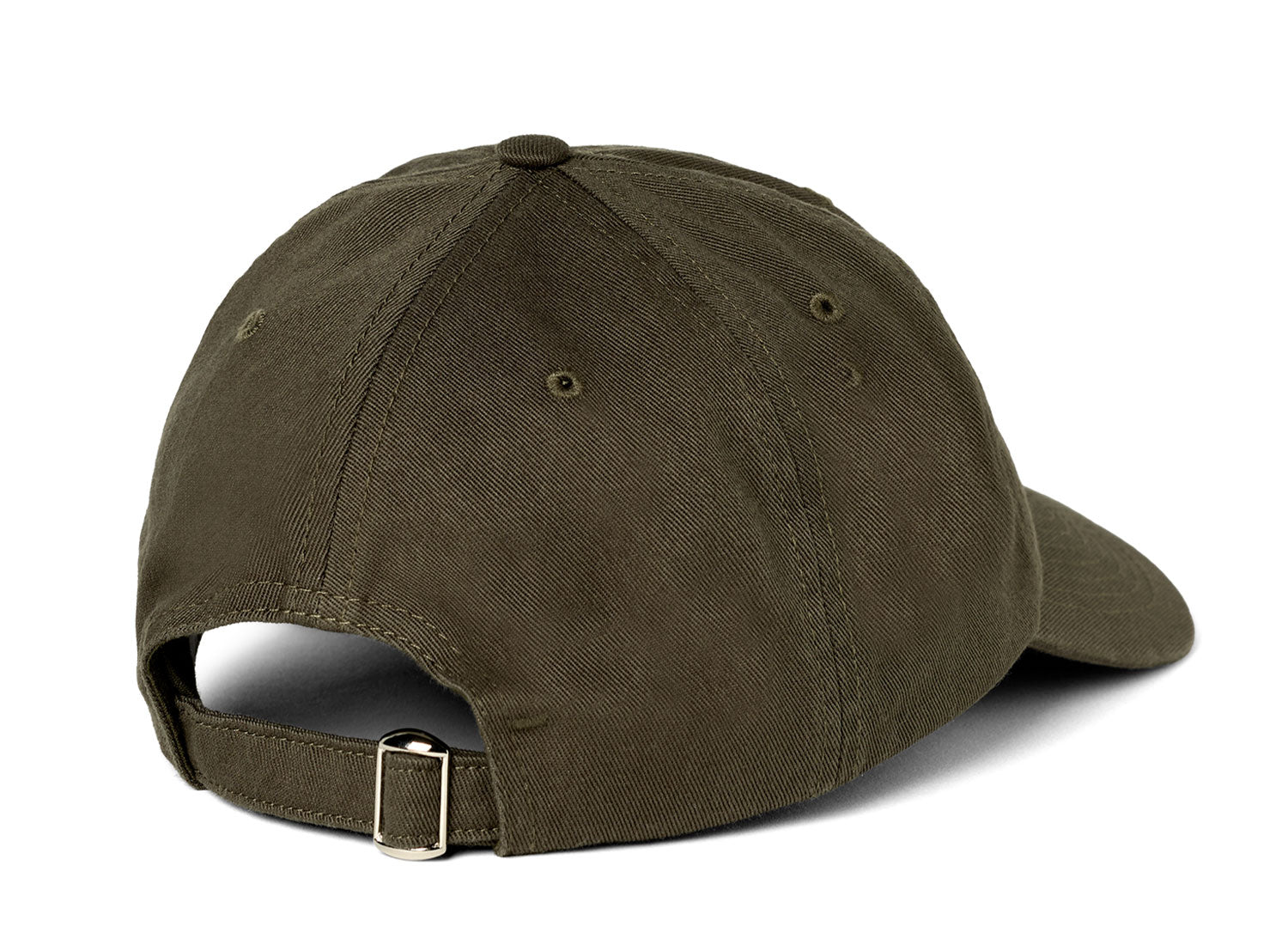 POLAR SAI CAP COLLEGE LOGO