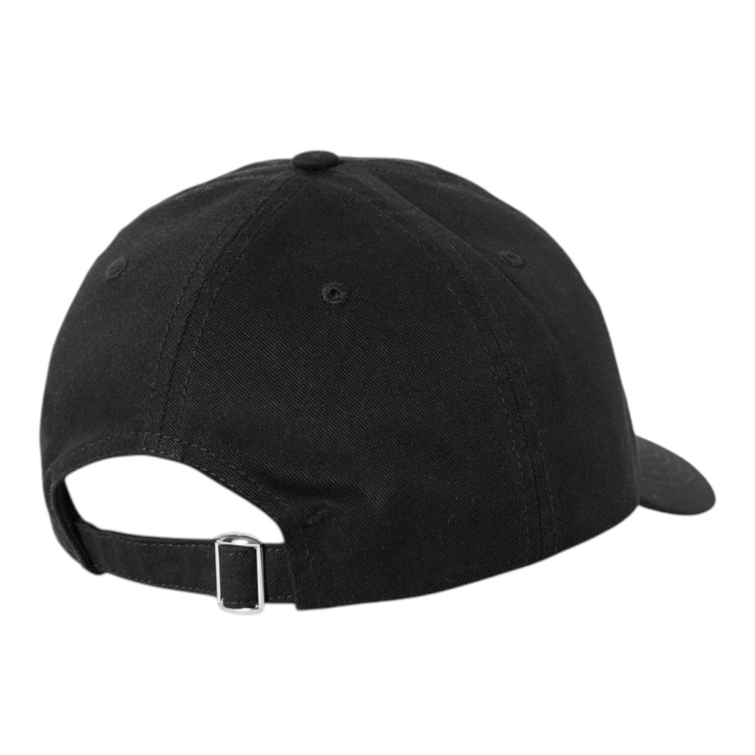 POLAR SAI CAP COLLEGE LOGO