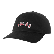 POLAR SAI CAP COLLEGE LOGO