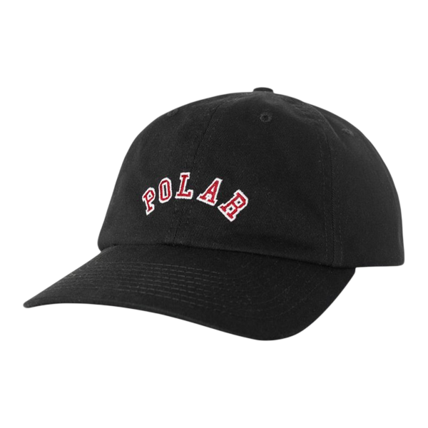 POLAR SAI CAP COLLEGE LOGO