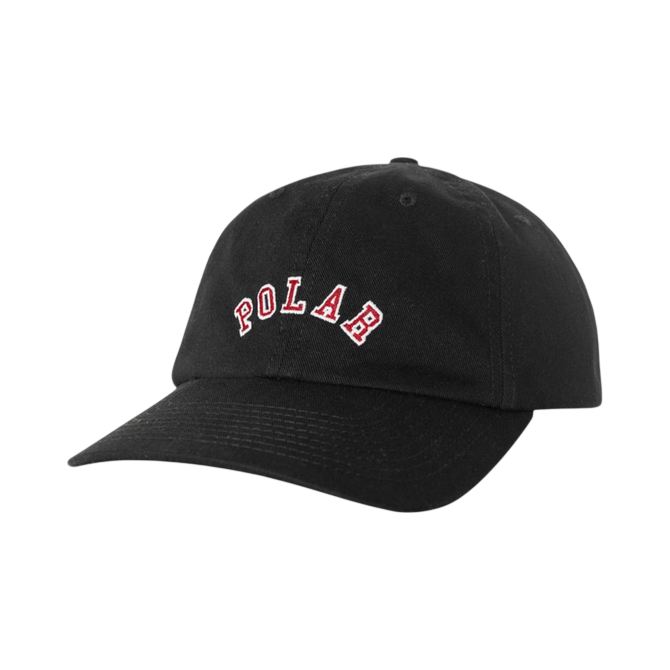 POLAR SAI CAP COLLEGE LOGO