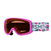 SMITH Y SNOWDAY