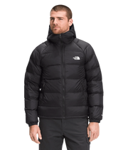 THE NORTH FACE HYDRENALITE DOWN HOODIE - Boutique Homies