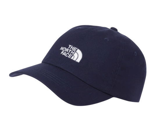 THE NORTH FACE NORM HAT - Boutique Homies