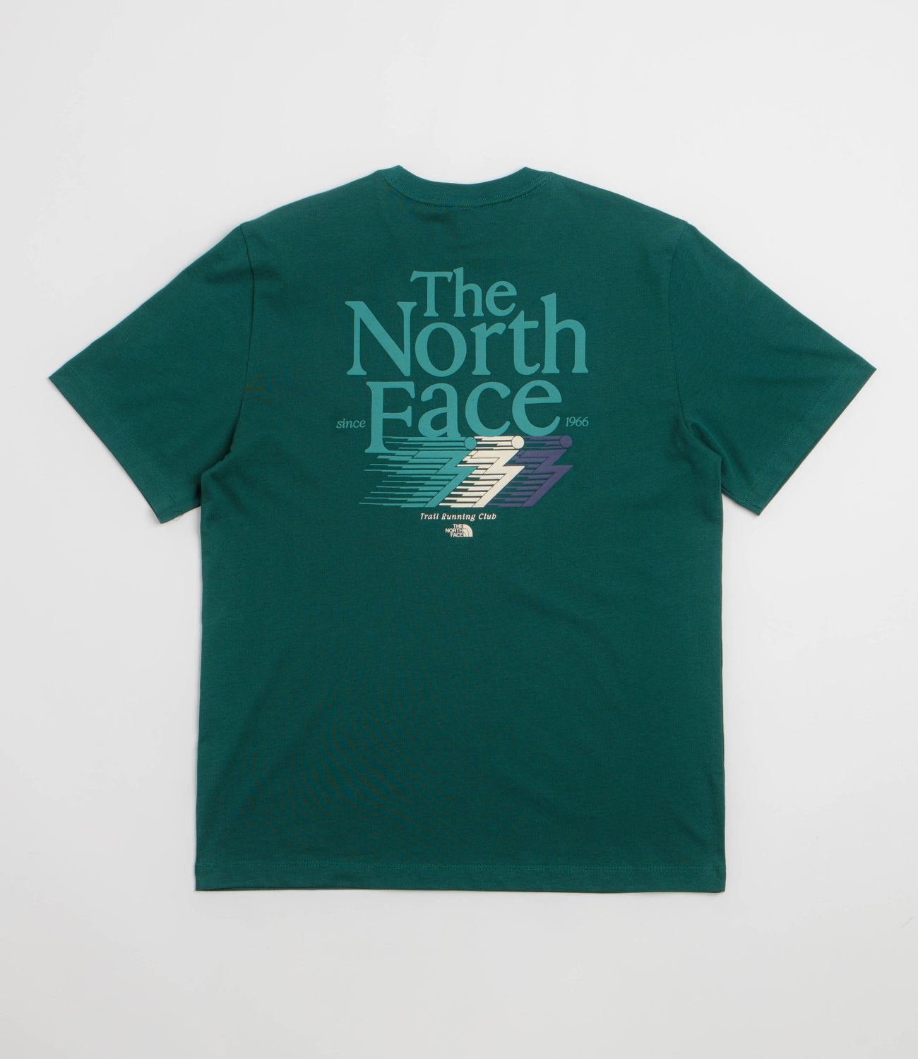 THE NORTH FACE RETRO TRAIL RELAXED SS TEE - Pacific Teal - vue principale
