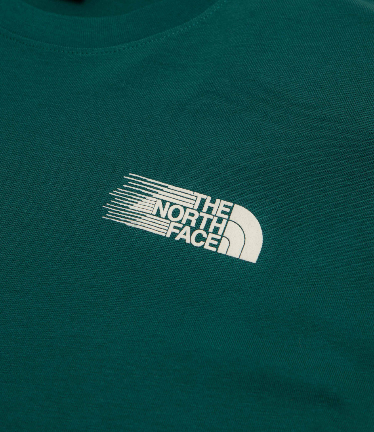 THE NORTH FACE RETRO TRAIL RELAXED SS TEE - Pacific Teal - vue 4