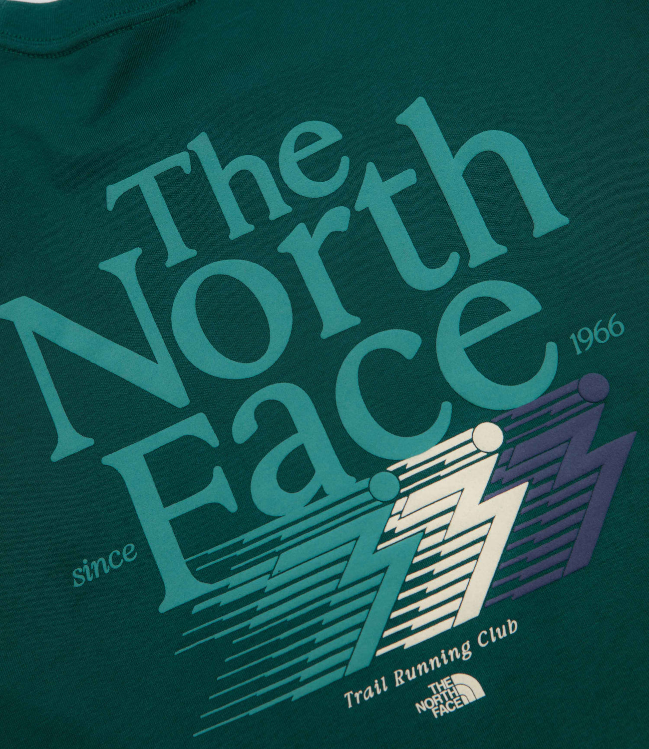 THE NORTH FACE RETRO TRAIL RELAXED SS TEE - Pacific Teal - vue 5