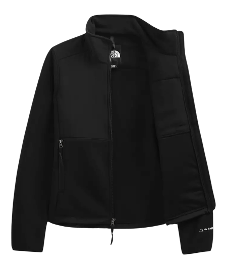 THE NORTH FACE W DENALI JACKET - Boutique Homies
