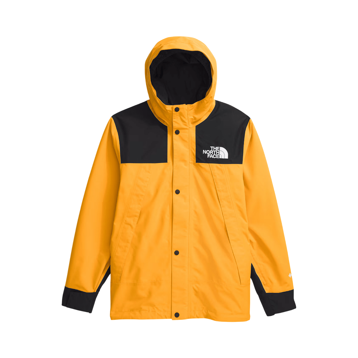 THE NORTH FACE Y TEEN GTX MOUNTAIN JACKET - Boutique Homies