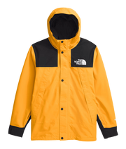 THE NORTH FACE Y TEEN GTX MOUNTAIN JACKET - Boutique Homies