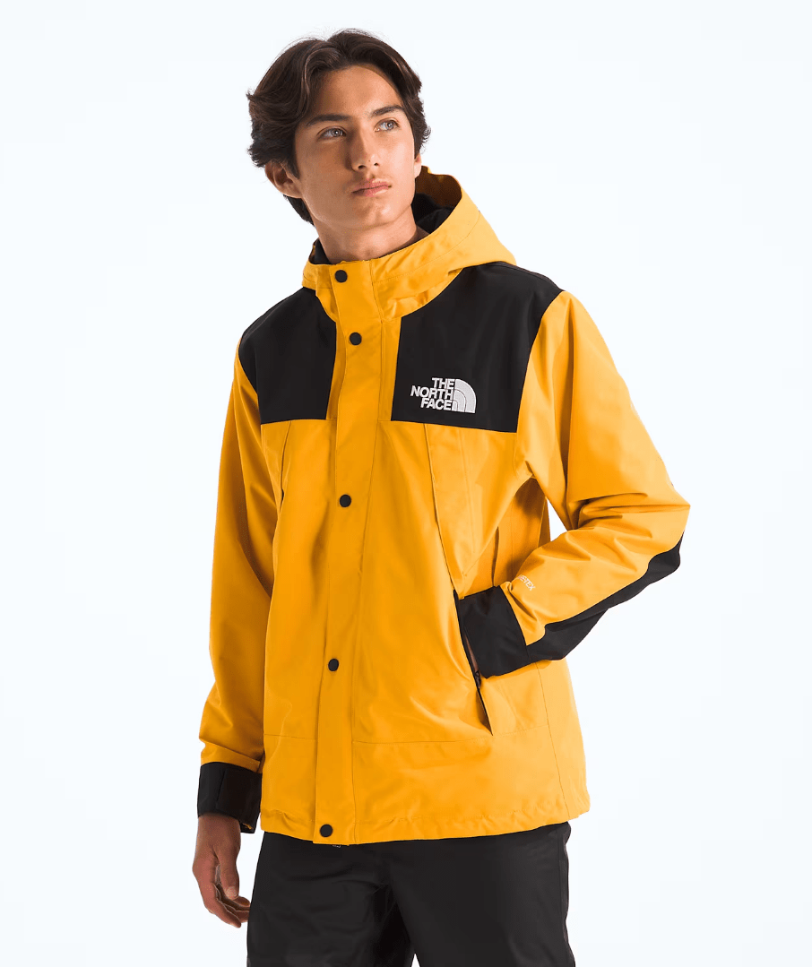 North face gtx mountain jacket deals