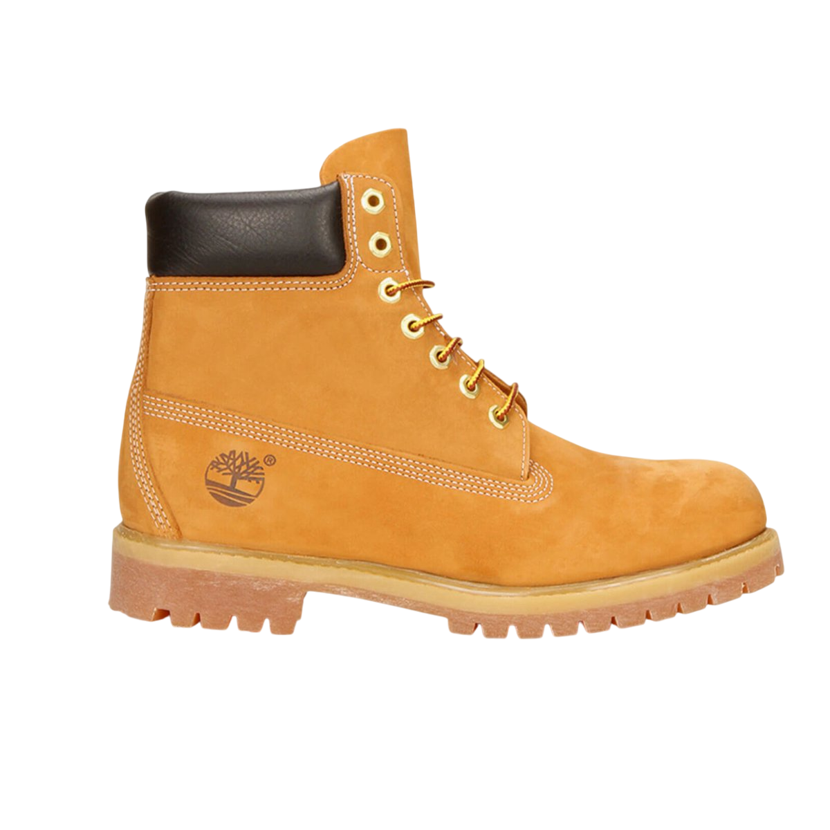 TIMBERLAND 6IN PREM WP BT - Boutique Homies