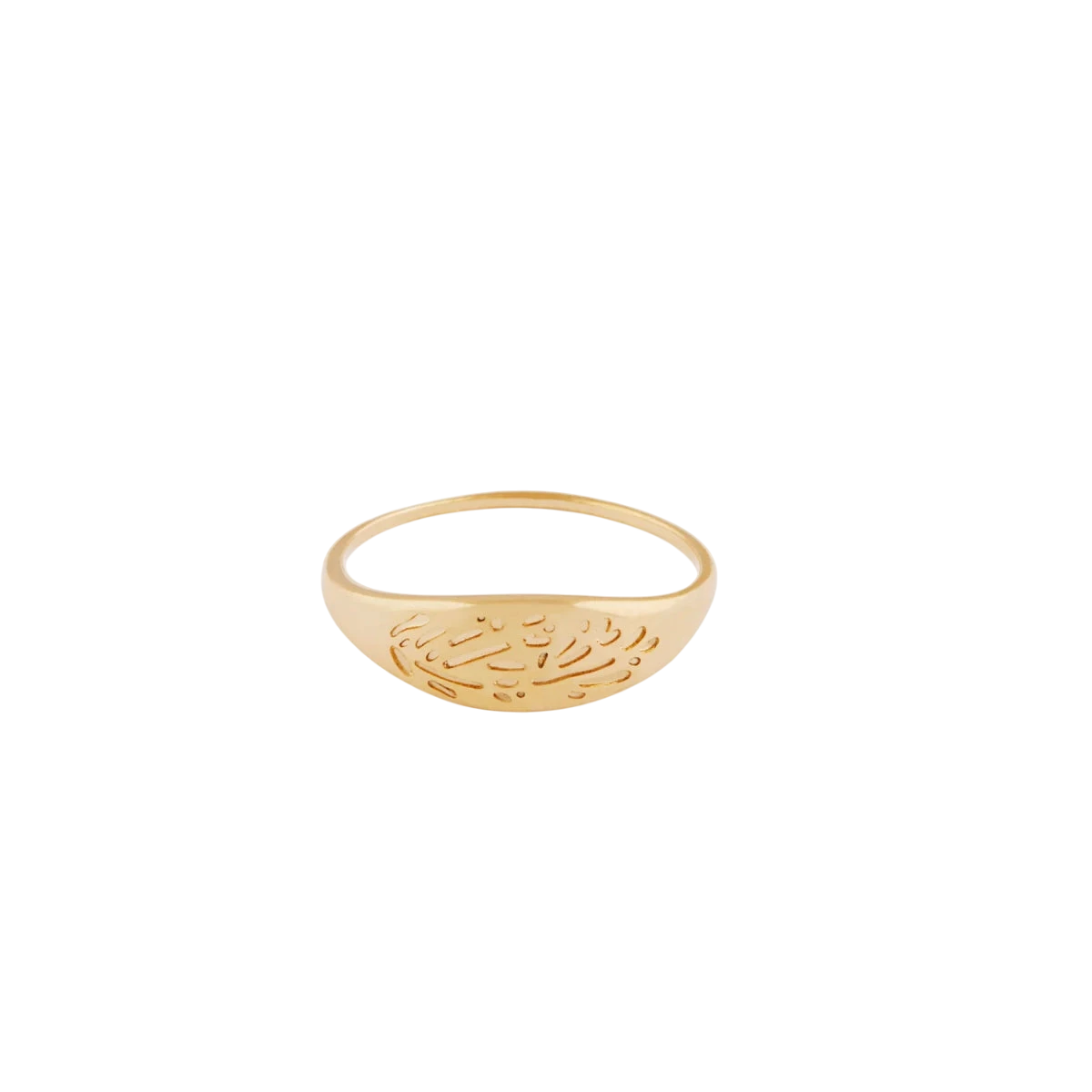 TWENTY COMPASS W FLORA RING - Boutique Homies