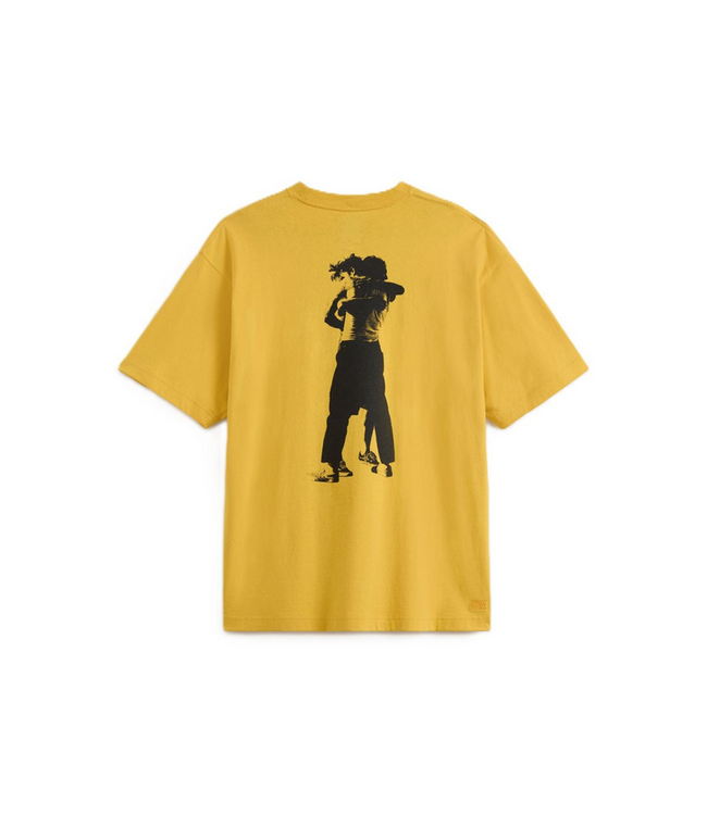 VANS SKATE ATIBA HAZE HUG SS TEE