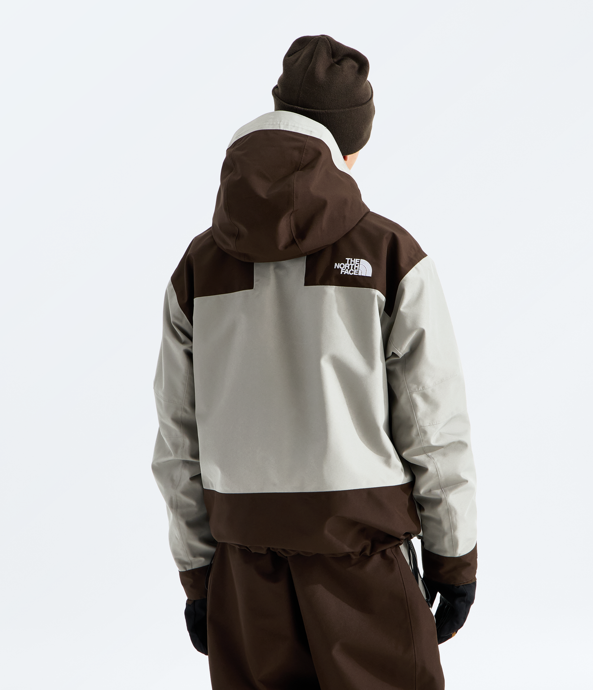 THE NORTH FACE GTX Hex Jacket - dos