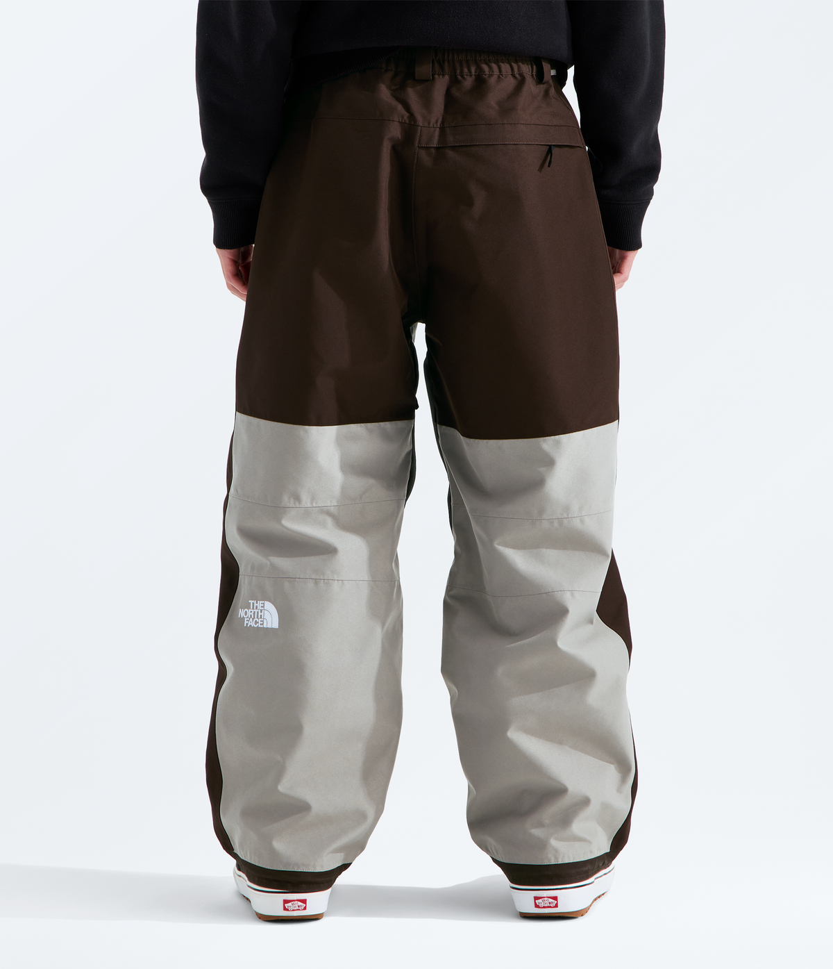THE NORTH FACE GTX Hex Pant - dos