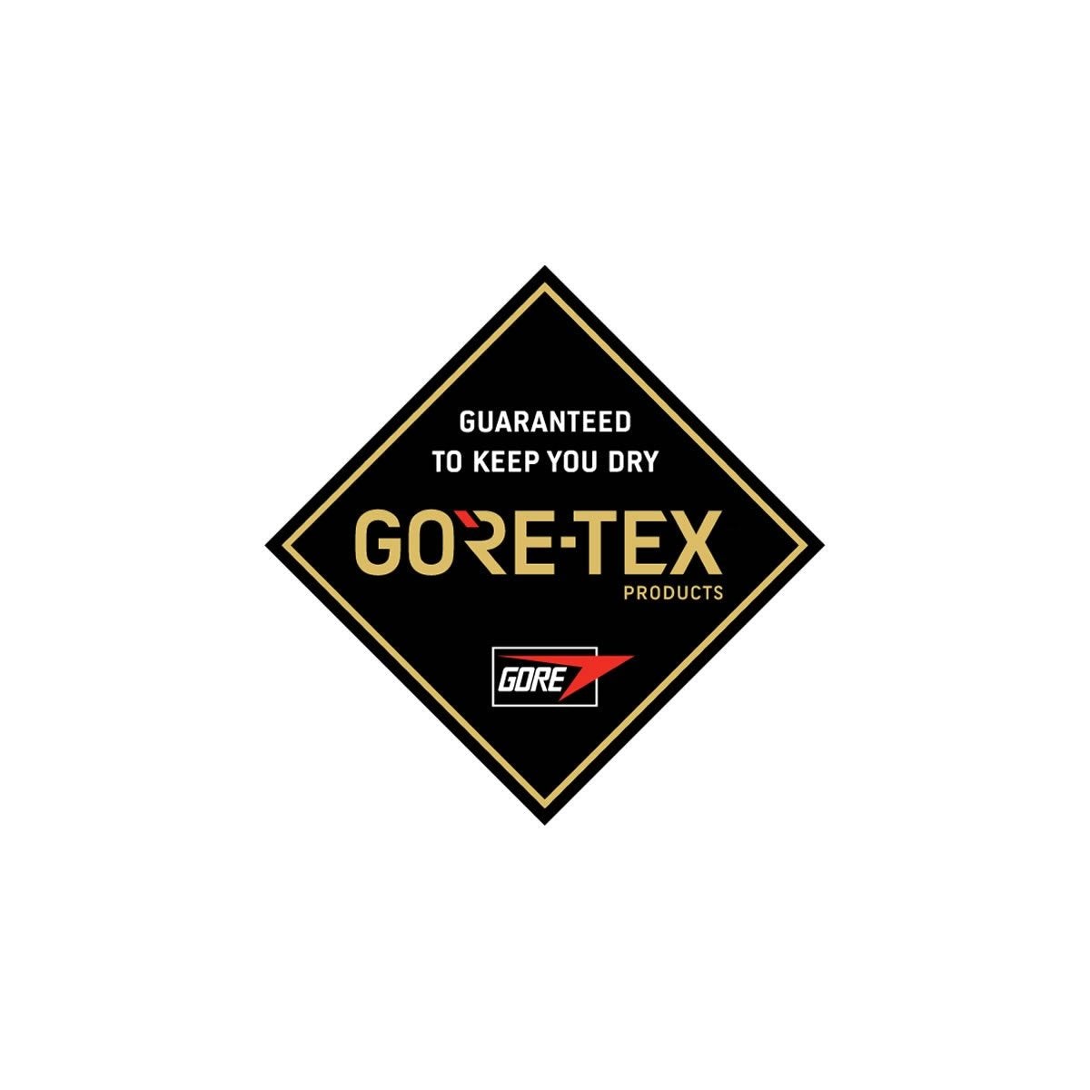 DAKINE W TUNDRA GORE-TEX MITT - Boutique Homies