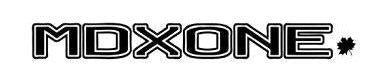 MDXONE KIDS SNOWBOARD/SKI HARNESS - Boutique Homies