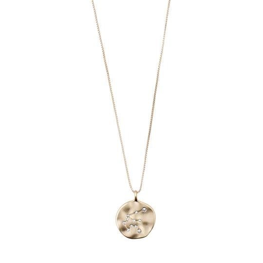 PILGRIM NECKLACE AQUARIUS - Boutique Homies