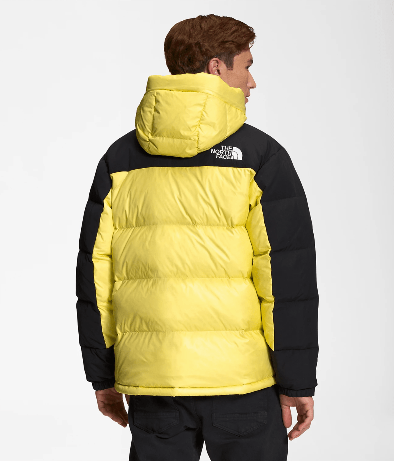 THE NORTH FACE HMLYN DOWN PARKA - Boutique Homies