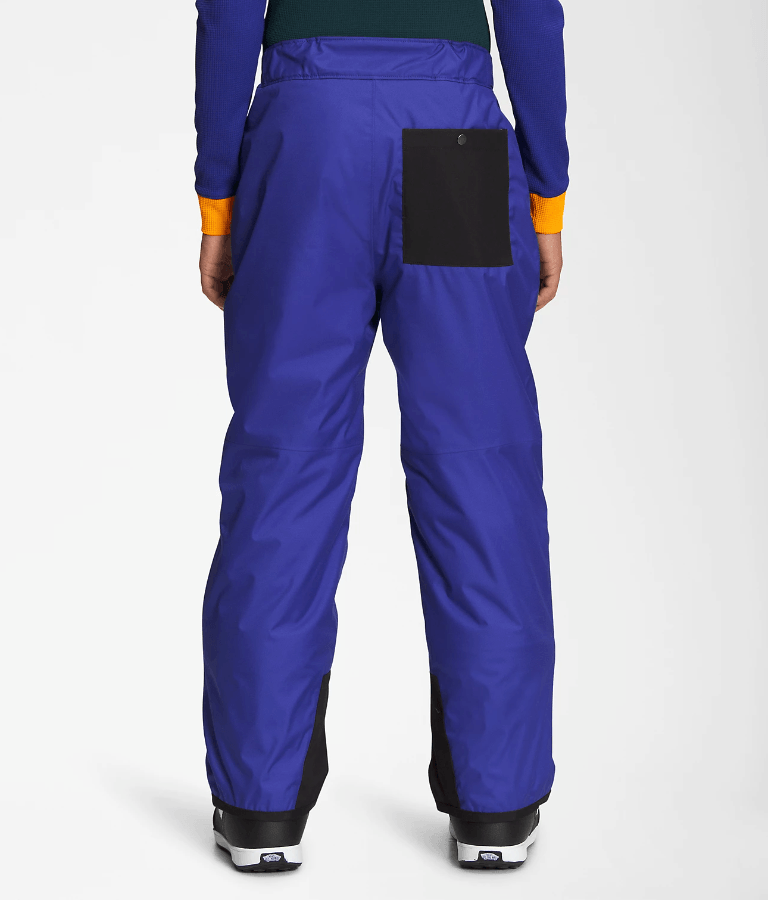 THE NORTH FACE Y FREEDOM INSULATED PANT - Boutique Homies