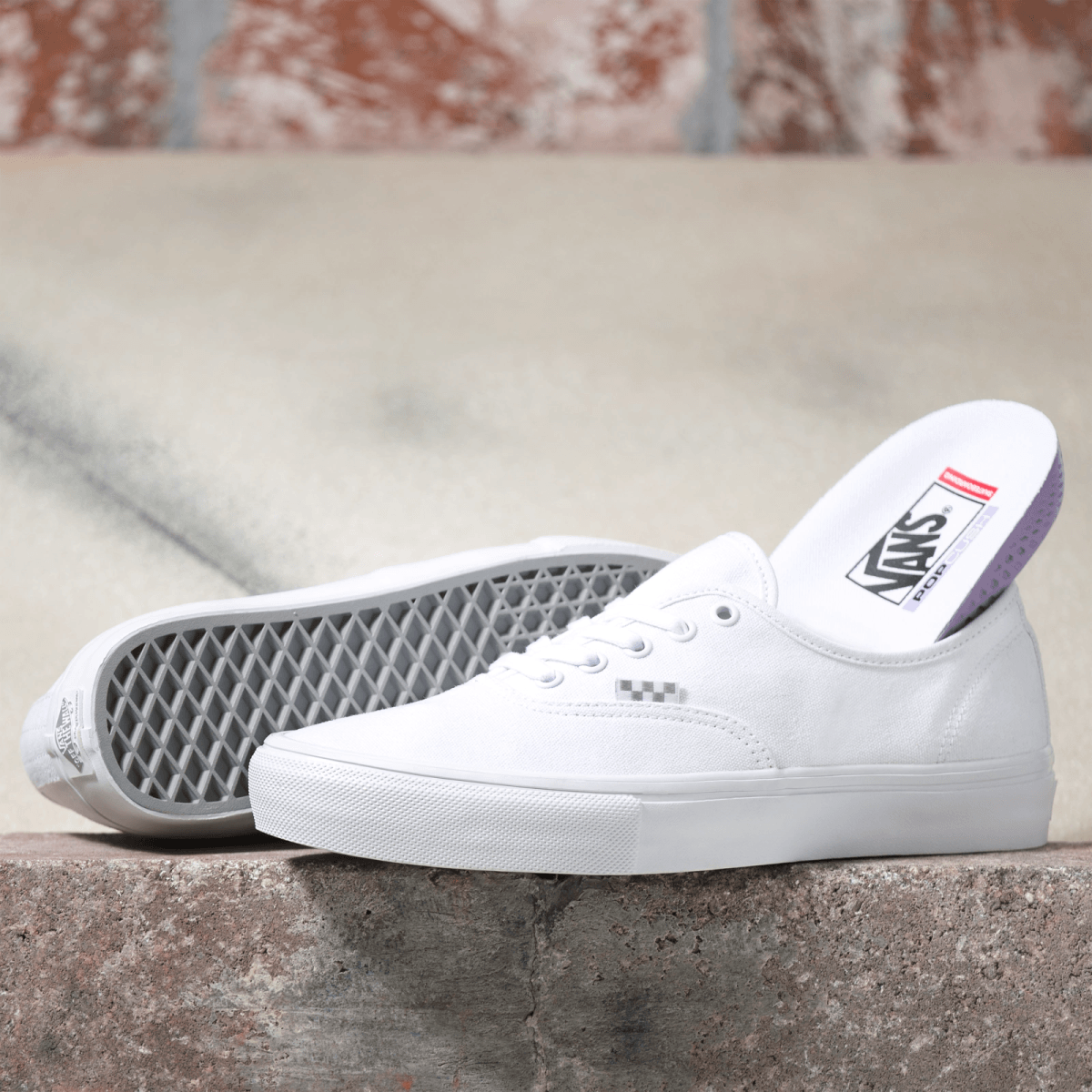 VANS SKATE AUTHENTIC - Boutique Homies