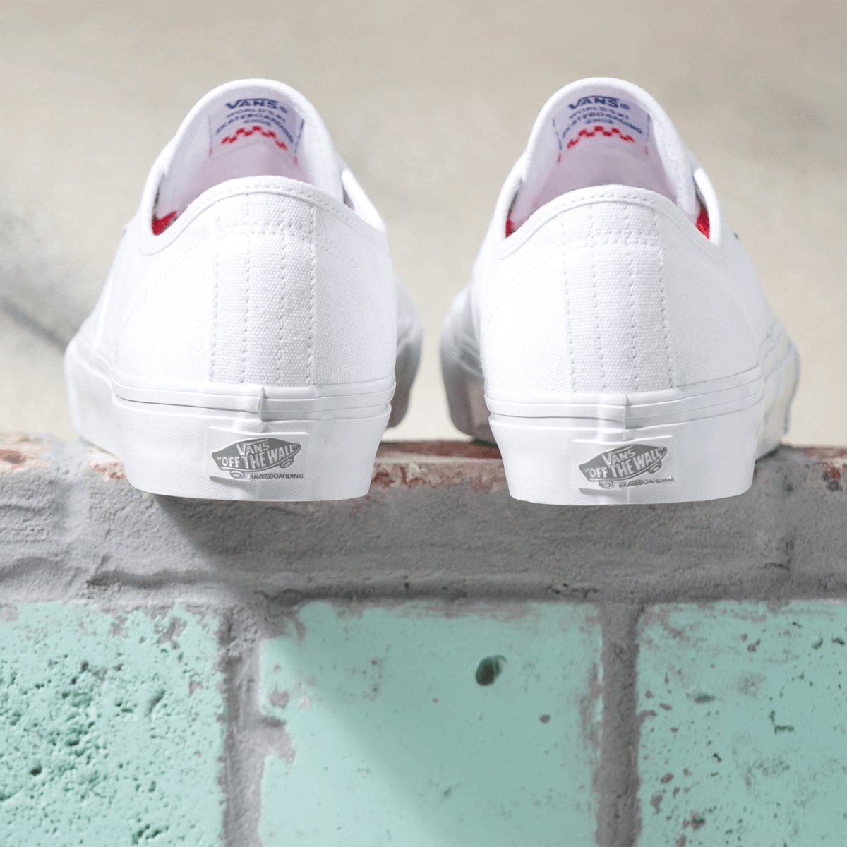 VANS SKATE AUTHENTIC - Boutique Homies